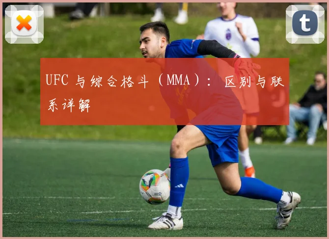 UFC 与综合格斗（MMA）：区别与联系详解