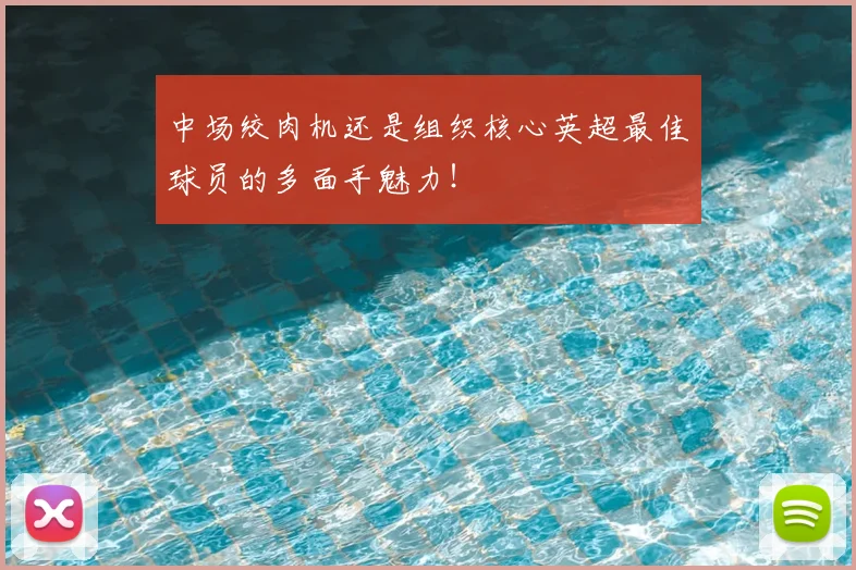 中场绞肉机还是组织核心英超最佳球员的多面手魅力！