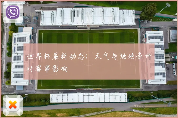 世界杯最新动态：天气与场地条件对赛事影响