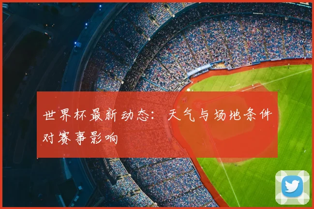 世界杯最新动态：天气与场地条件对赛事影响