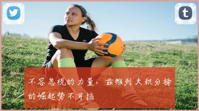 不容忽视的力量，兹维列夫积分榜的崛起势不可挡