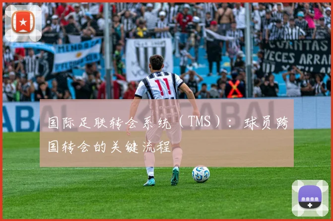 国际足联转会系统（TMS）：球员跨国转会的关键流程