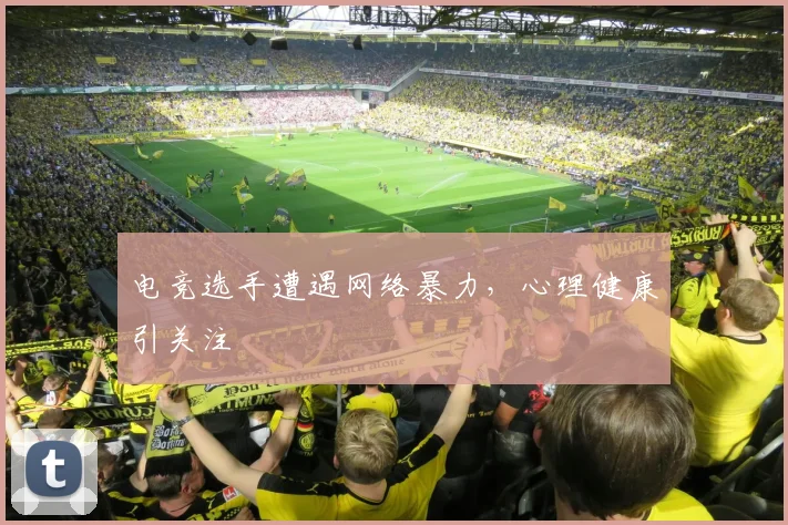 电竞选手遭遇网络暴力，心理健康引关注