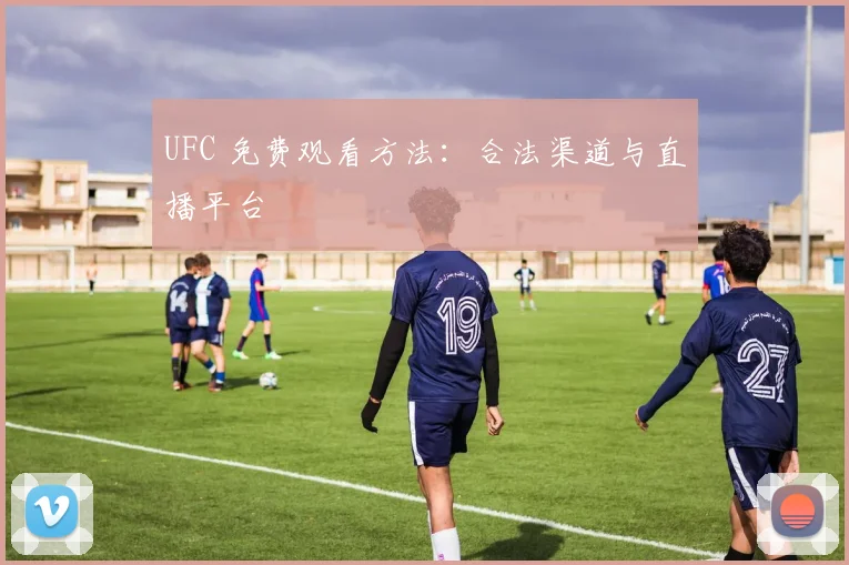 UFC 免费观看方法：合法渠道与直播平台