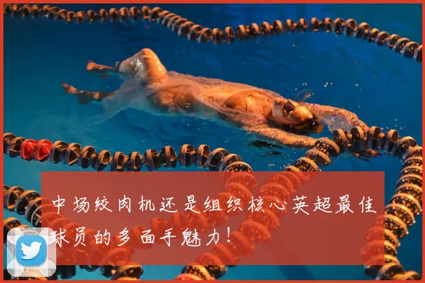 中场绞肉机还是组织核心英超最佳球员的多面手魅力！